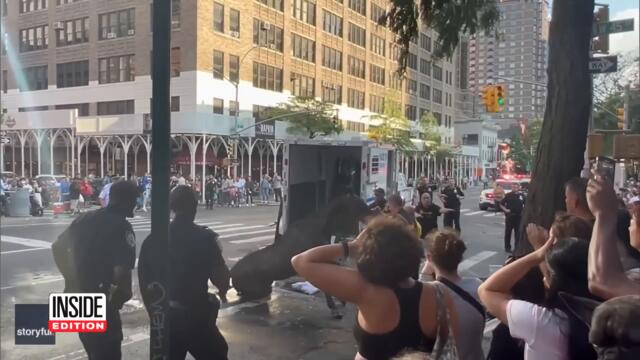 Carriage Owner Accused of Forging Collapsed Horse’s Age