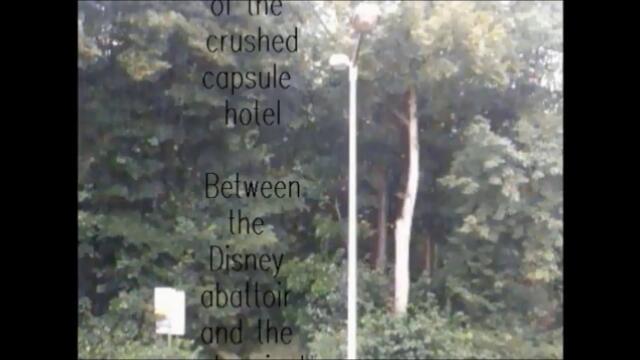 Elvis Costello Tokyo storm warning video.