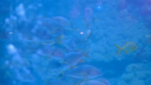 Неожиданная любовь 05 (русская озвучка) Love Unexpected （Гун Ваньи, Ян Тиндун）平行恋爱时差китайские дорамы