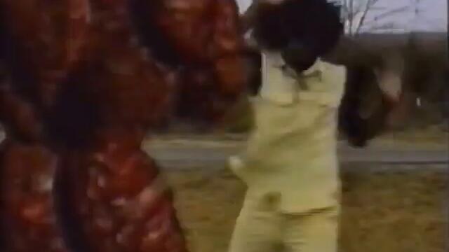 Whispers in the Gloom (1998) - Kung fu vs. Bad CGI