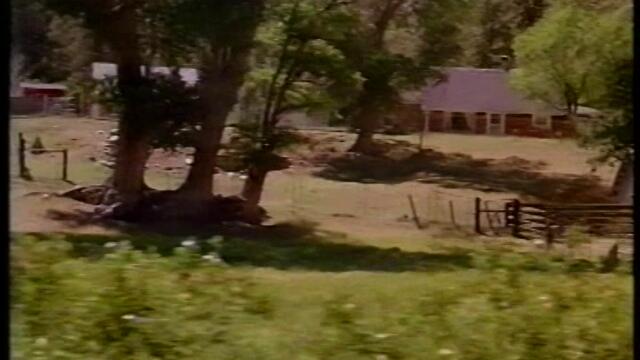 The Wizard (VHS BG Audio) - 4of10