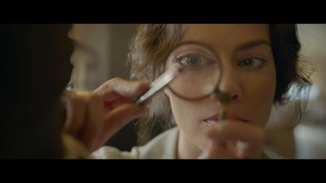 Amsterdam _ Trust _ 20th Century Studios