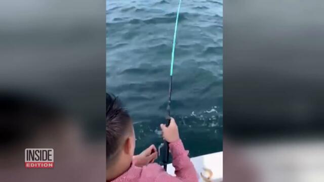 Stranded Boaters Fight Off Sharks