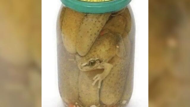 Попрощайтесь с аппетитом! (3 серия)