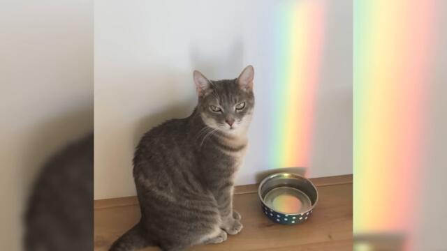 После такого трудно прийти в себя