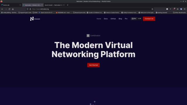 Netmaker - A powerful, open source, self hosted, GUI for setting up Wireguard networks and VPNs.