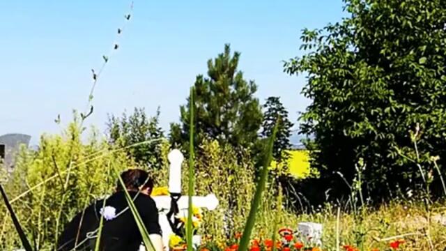 Мелани тъпо е най-зле влакче луда. Мелани тя курва да боклука! Да се много подигравката обижда хората и деца възрастен.