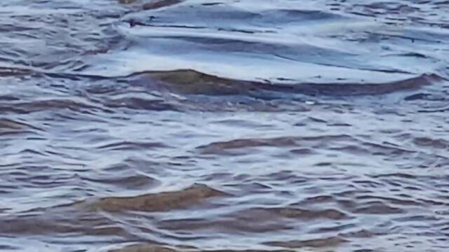 Έλλη Κοκκίνου - Το Χαμόγελό Σου - усмивката ти