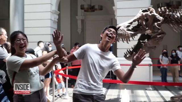 Thousands Flock to See T.Rex Skeleton Before Auction