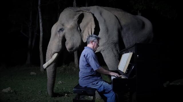 Beethoven “Moonlight Sonata” for Old Elephant