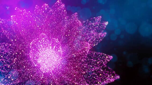 Mesmerizing VJ Loop Neon Glowing Flower Abstract Background Video Pattern 4k Screensaver 2022-11-07 12:51