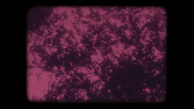 The Haunted Youth - I Feel Like Shit And I Wanna Die (Official Videoclip)