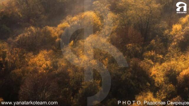 ---ТРЕЙЛЪР---#Подаръците от #Янатарко Тийм са вече тук!