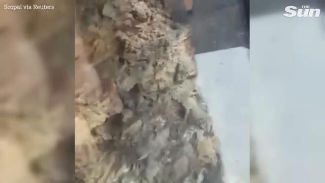 Several dead and injured at blast on busy central Istanbul avenue