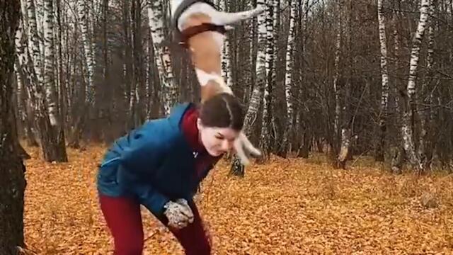 Популярное из Тик Ток (86 часть)