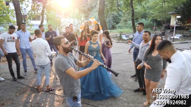 Asancho - Kuchek za mladejite na Levski Live 2022