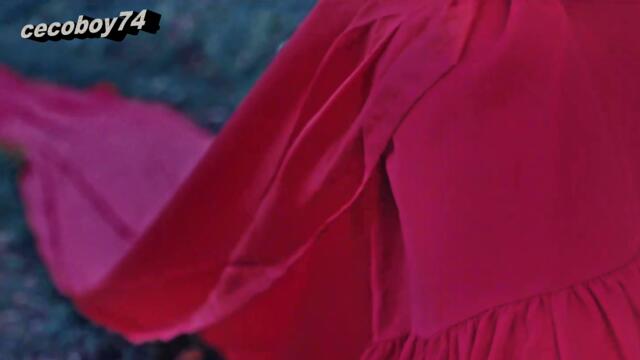 Δημήτρης Μπάσης - Πύρινες Καρδιές - огнени сърца