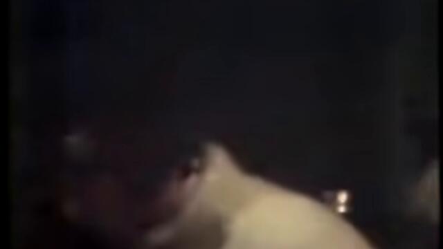 Max Headroom 1987 Broadcast Signal Intrusion Incident