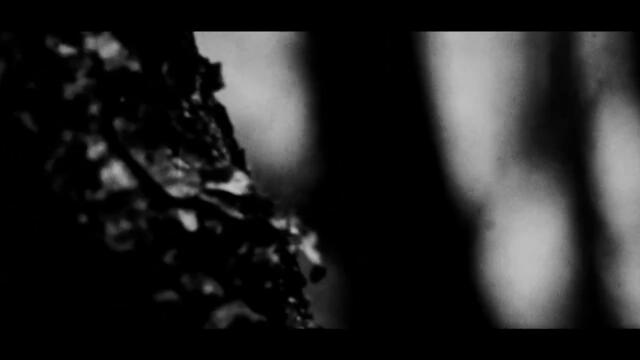 Blindead 23 - Towards the Dark | Official Music Video