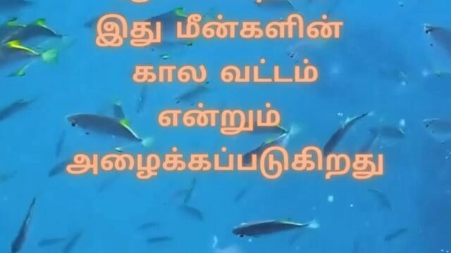 பூமியில் முதல் மீன்களின் தோற்றம் #shorts