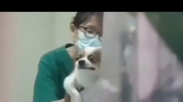 ЖИВОТНИТЕ ЗНАЯТ