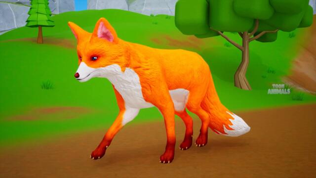 Animals in Forest - Fox, Elephant, Tiger, Lion, Zebra, Pigs, Deer, Bison, Sheep, Ants | 3D Cartoons