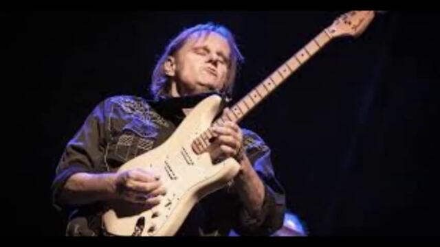 Walter Trout - Me, My Guitar And The Blues - BG субтитри