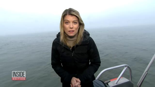 Runaway Service Dog Swims Across the Hudson River