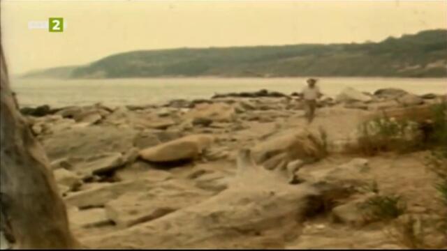 50 години БНТ Варна: Айсберги (1983) TV Rip БНТ 2 10.12.2022