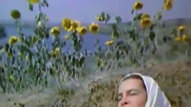 Белый день   -   Ой загулял казак!