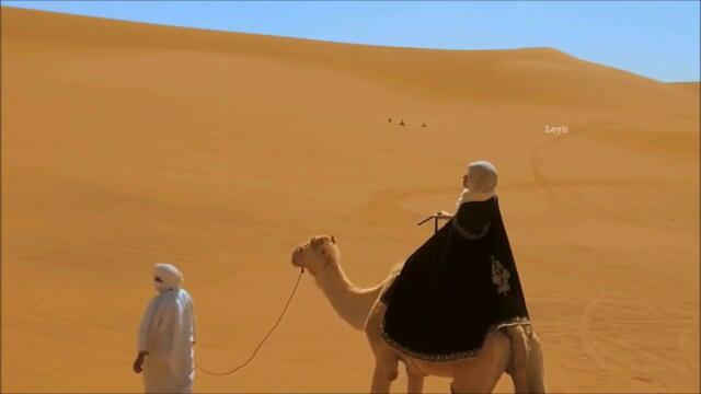 Melissa - ميليسا - ليالي عمري(Remix)