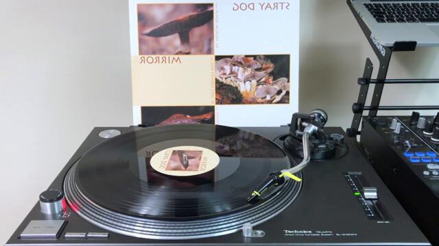 Stray Dog - Mirror (Signum Remix) (1998)