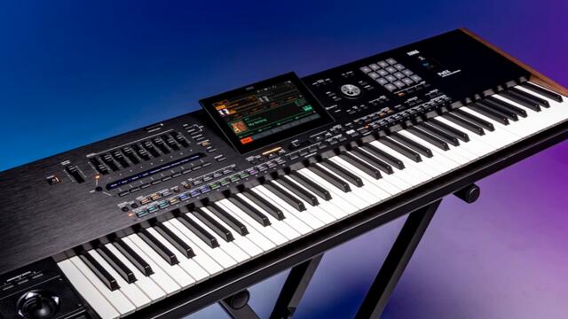 SAMPION KUCHEK HIT 2023