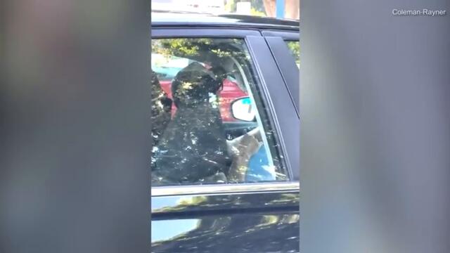 Video: Drake Bell spotted inhaling balloons with his kid in parked car