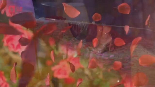 bandicam 2022-06-03 10-28-41-364