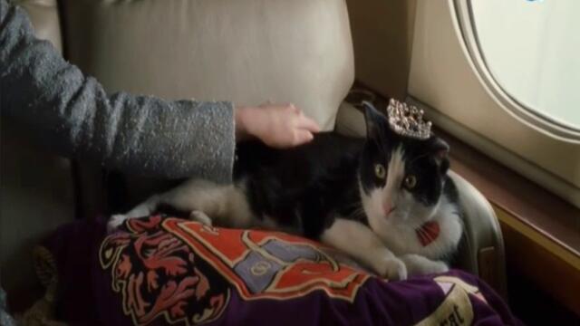 bandicam 2022-06-19 11-05-30-946