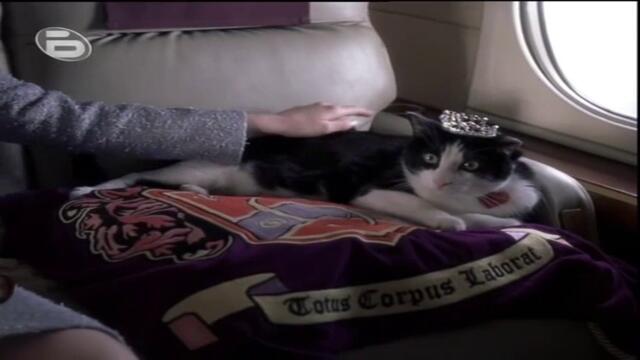 bandicam 2022-06-19 11-07-28-747