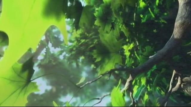 bandicam 2022-07-06 11-40-00-775