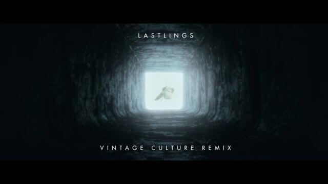 Lastlings - Get What You Want (Vintage Culture Remix / Visualizer)