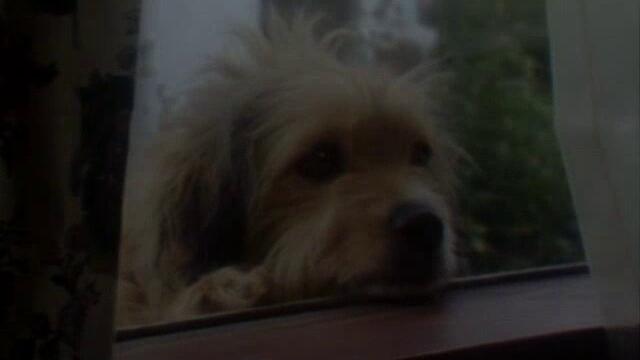 bandicam 2022-08-04 11-07-52-569