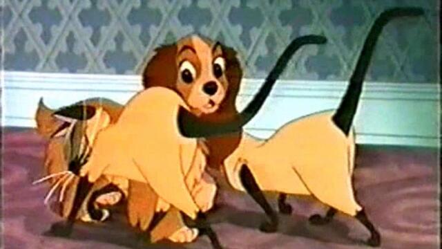 bandicam 2022-09-24 01-59-54-816