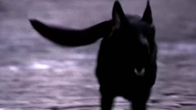 bandicam 2022-10-12 21-08-06-004