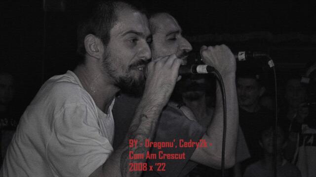 Dragonu', Cedry2k - Cum Am Crescut (bootleg, remix, alternate)