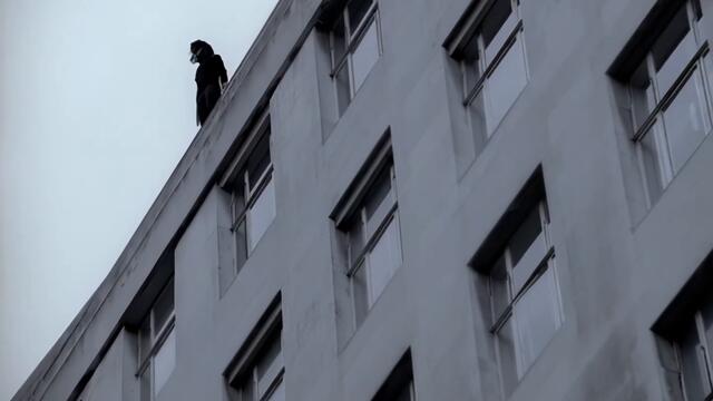 Placebo - Pure Morning (HQ • HD • 4K)