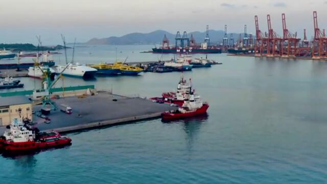 Δημήτρης Μπάσης - Τρελός - полудял