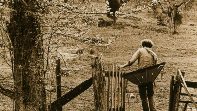 If I Were A Featherbed