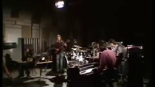 Wigwam - Grass for Blades