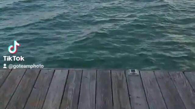 PIER PRESSURE by Joseph Whittington