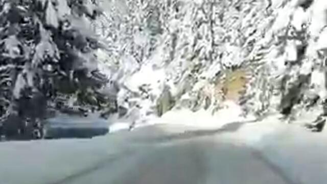 ЗАБЕЛЯЗАНО В ГР. ПАМПОРОВО И ДРУГИ