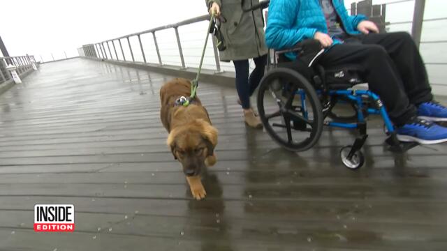 2022’s Wildest Animal Moments Caught on Camera